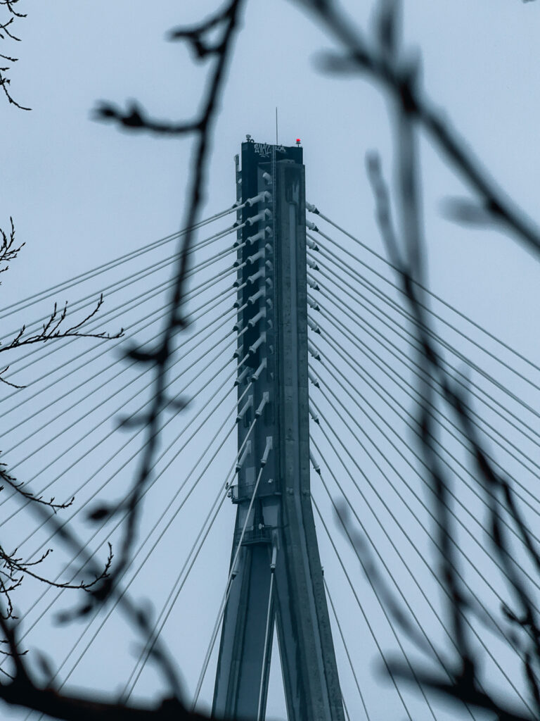 Swietokrzyski Bridge and some branches.