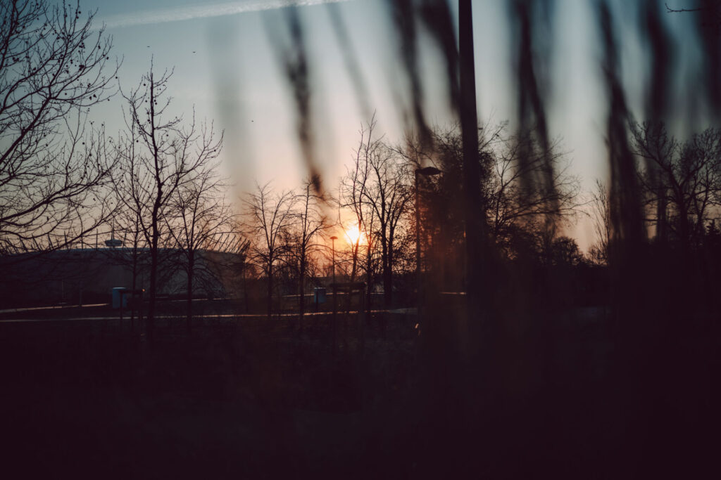 A typical morning sun coming to life.